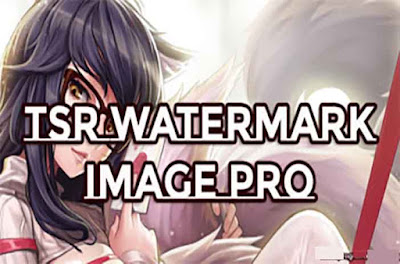 Descargar TSR Watermark Image Pro 3.6 Español