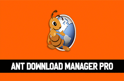 Descargar Ant Download Manager Pro Español