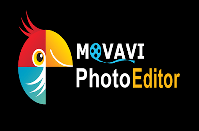 Descargar Movavi Photo Editor 6.7.0 Español
